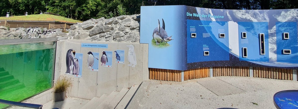 Brillenpinguinen-Anlage im Zoo Salzburg © TVB Puch - Gerber